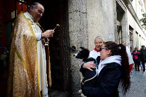 Blessing Of Pets In San Anton