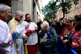 Blessing Of Pets In San Anton