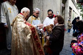 Blessing Of Pets In San Anton