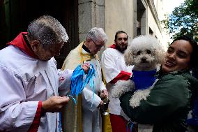 Blessing Of Pets In San Anton