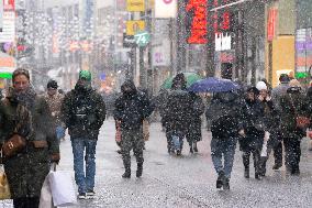 Snow In Cologne