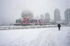 Major Snowstorm Hits Metro Vancouver - Canada