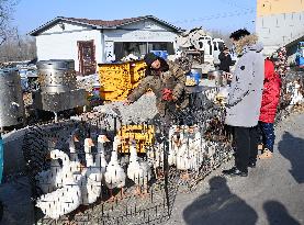 Puhe Market in Shenyang