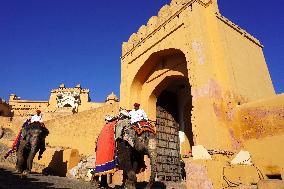 Elephant Ride At Historic Amer Fort - India