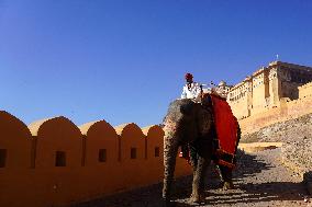 Elephant Ride At Historic Amer Fort - India