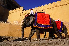 Elephant Ride At Historic Amer Fort - India