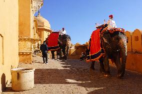 Elephant Ride At Historic Amer Fort - India