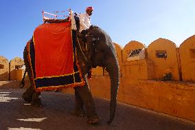 Elephant Ride At Historic Amer Fort - India
