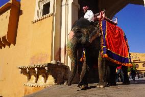 Elephant Ride At Historic Amer Fort - India