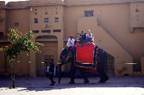 Elephant Ride At Historic Amer Fort - India