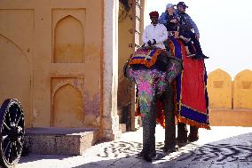 Elephant Ride At Historic Amer Fort - India