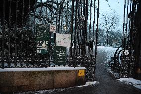 Streets Of Paris Covered With A Snow Blanket