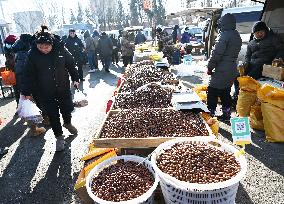 Puhe Market in Shenyang