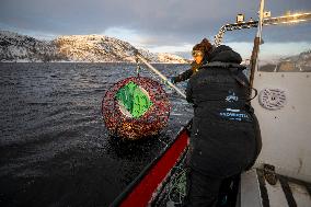 King Crab Fishing In Kirkenes