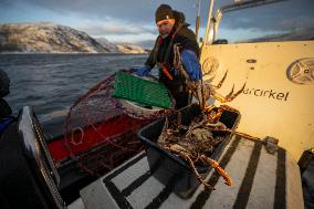 King Crab Fishing In Kirkenes