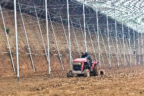 A Greenhouse in Qingzhou