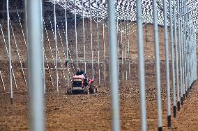 A Greenhouse in Qingzhou