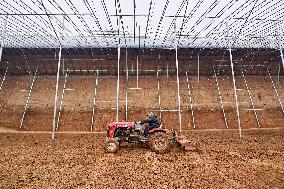 A Greenhouse in Qingzhou