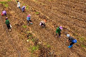 China Agriculture