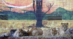 Kyiv Zoo