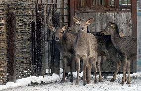 Kyiv Zoo