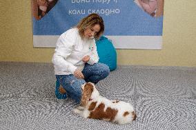 First dog-assisted therapy center opens in Kyiv