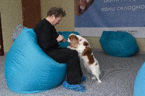 First dog-assisted therapy center opens in Kyiv