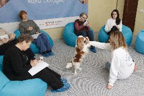 First dog-assisted therapy center opens in Kyiv