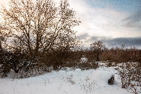 Old plane wreck