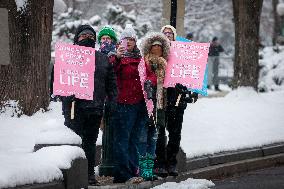 2024 March for Life in Washington, DC