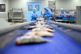 (AmazingAnhui)CHINA-ANHUI-HUANGSHAN-FERMENTED MANDARIN FISH (CN)