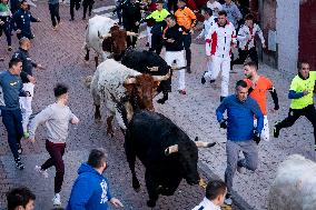 Bull runs in San Sebastian de los Reyes near Madrid