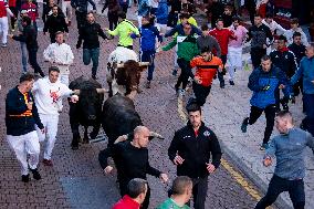 Bull runs in San Sebastian de los Reyes near Madrid
