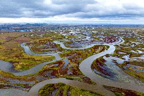 Naoli River Wetland in Shuangyashan