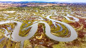 Naoli River Wetland in Shuangyashan