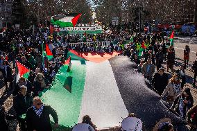 Pro-Palestine Rally - Madrid