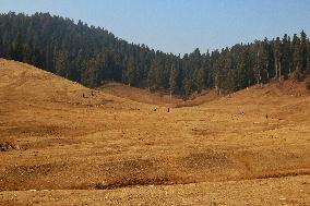 The Prolonged Dry Spell This Winter Affect The Ski Resort Of Gulmarg