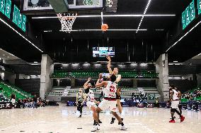 Basketball: Sporting vs Ovarense