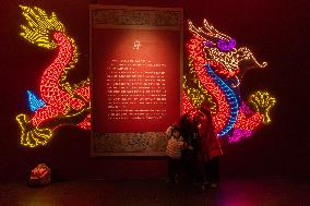Precious Cultural Relics Related to The Dragon displayed at The Three Gorges Museum