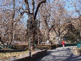 The First Zero-carbon Park in The Core Area of Beijing