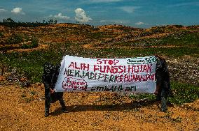 Indonesia's Reforestation Polemic