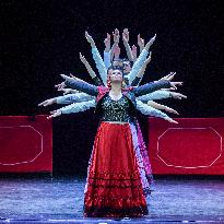 Dance Drama Carmen Perform in Nanning