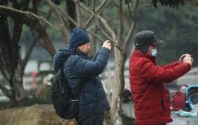 The First Snow in Hangzhou