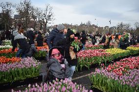 National Tulip Day - Amsterdam