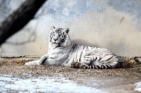 Forest Wildlife World in Qingdao