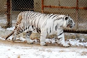 Forest Wildlife World in Qingdao