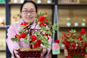 Red Pomegranate Woven With Colored Wool in Zaozhuang