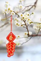 A Festive Pendant Hangs From A Blossoming Plum Blossom Branch