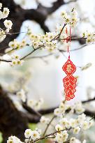 A Festive Pendant Hangs From A Blossoming Plum Blossom Branch