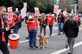 California Faculty Association (CFA) Union Members Strike On The Corners Of J Street And State University Drive At California St